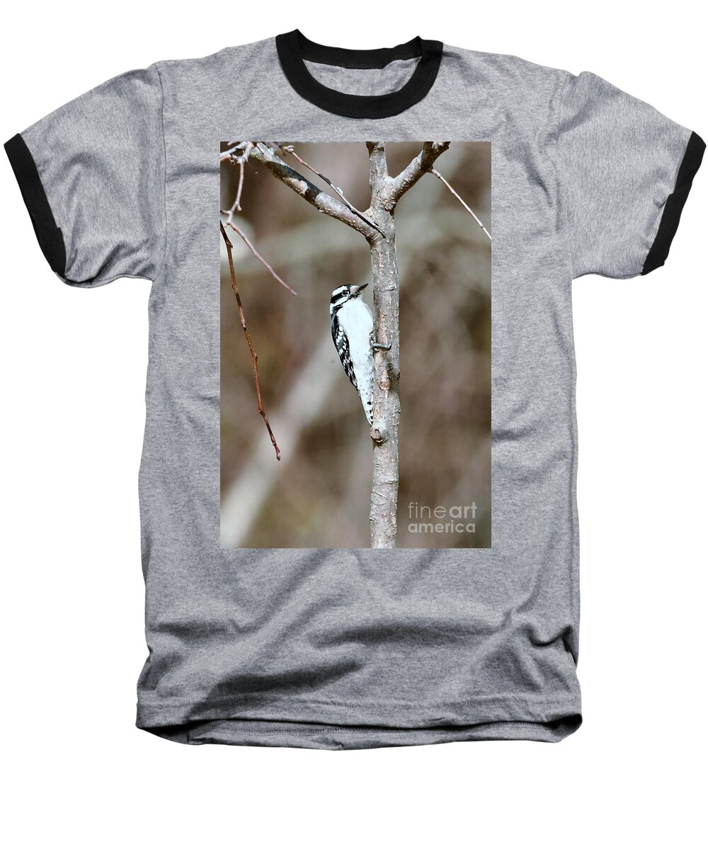 Downy Woodpecker Baseball T-Shirt featuring the photograph Downy Woodpecker #1 by Lila Fisher-Wenzel