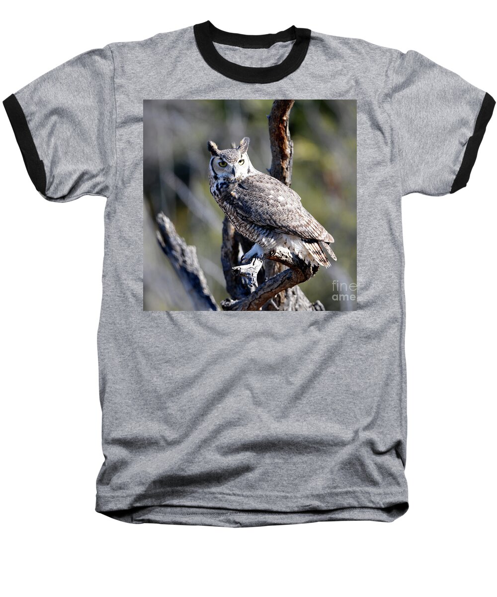 Denise Bruchman Photography Baseball T-Shirt featuring the photograph Great Horned Owl #1 by Denise Bruchman