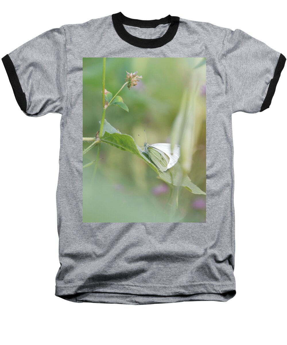 Butterfly Baseball T-Shirt featuring the photograph Meadow life by Jaroslav Buna