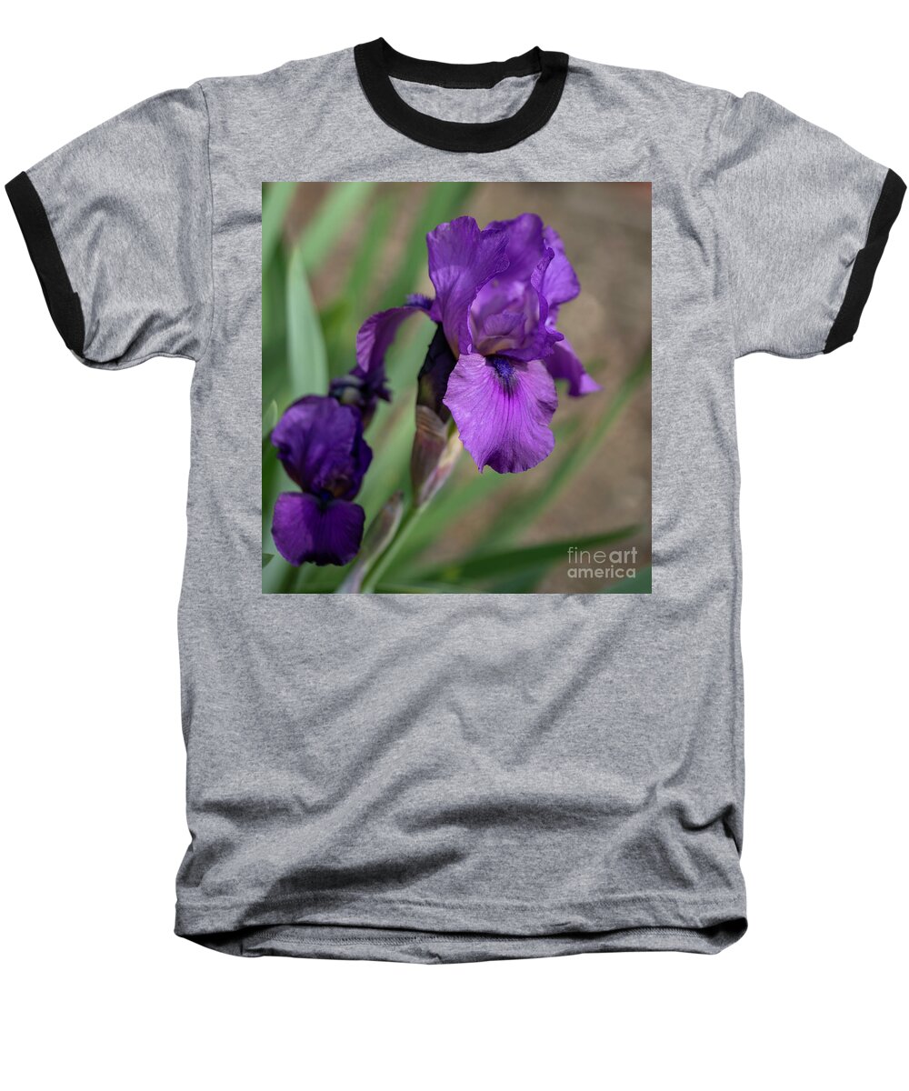 Flower Baseball T-Shirt featuring the photograph Purple Iris #1 by Cathy Donohoue
