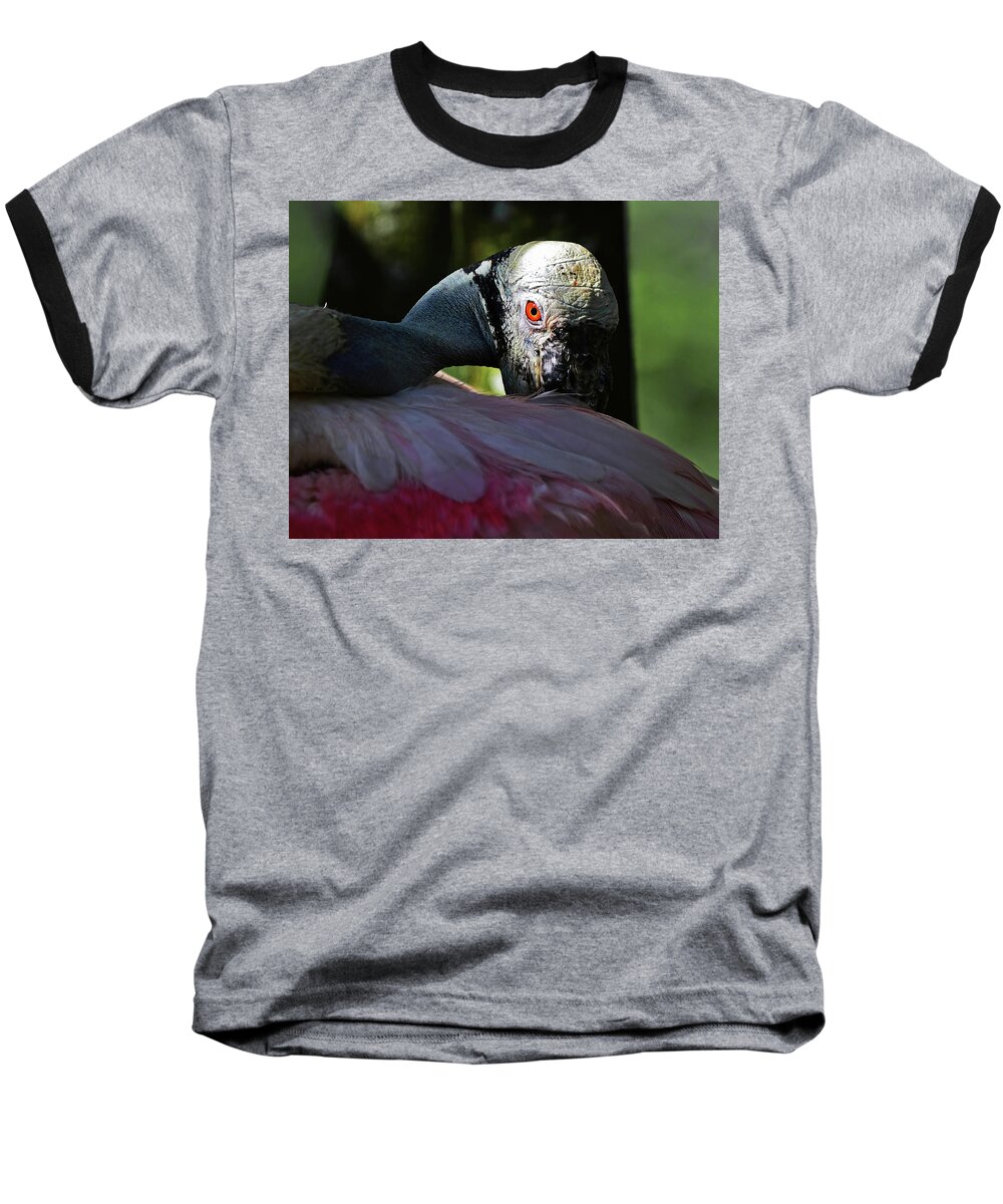 Roseate Spoonbill Baseball T-Shirt featuring the photograph Roseate Spoonbill #1 by Stuart Harrison