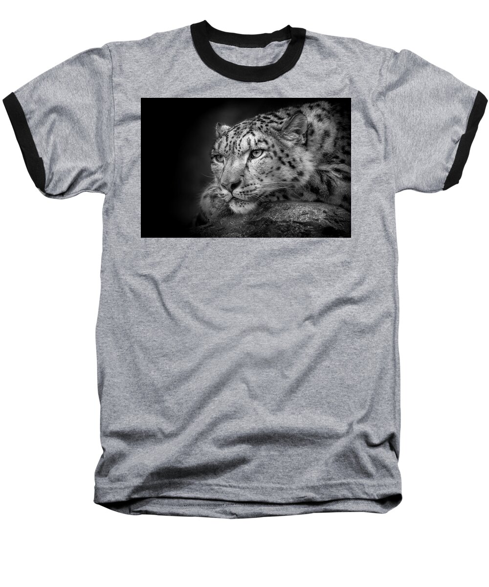 Snow Baseball T-Shirt featuring the photograph Snow Leopard #1 by Chris Boulton