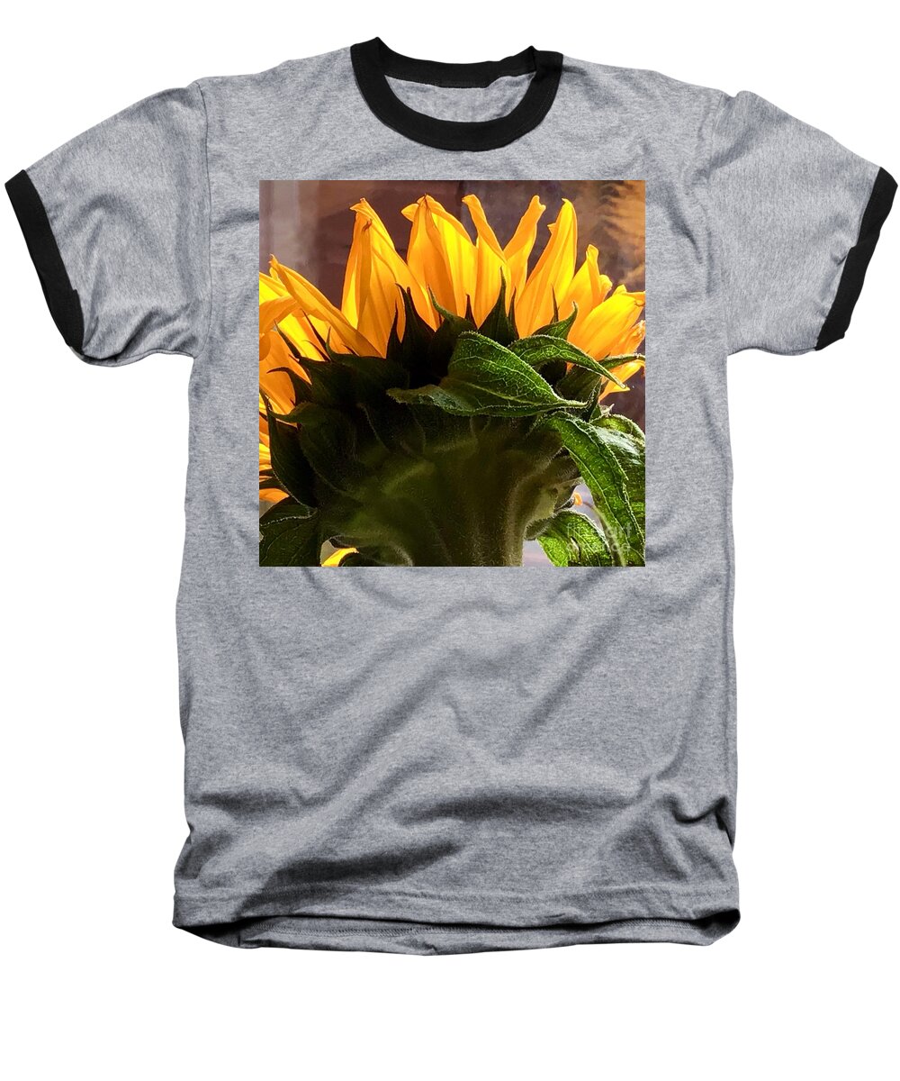 Sunflower Baseball T-Shirt featuring the photograph Sunflower Sunshine by Joan-Violet Stretch
