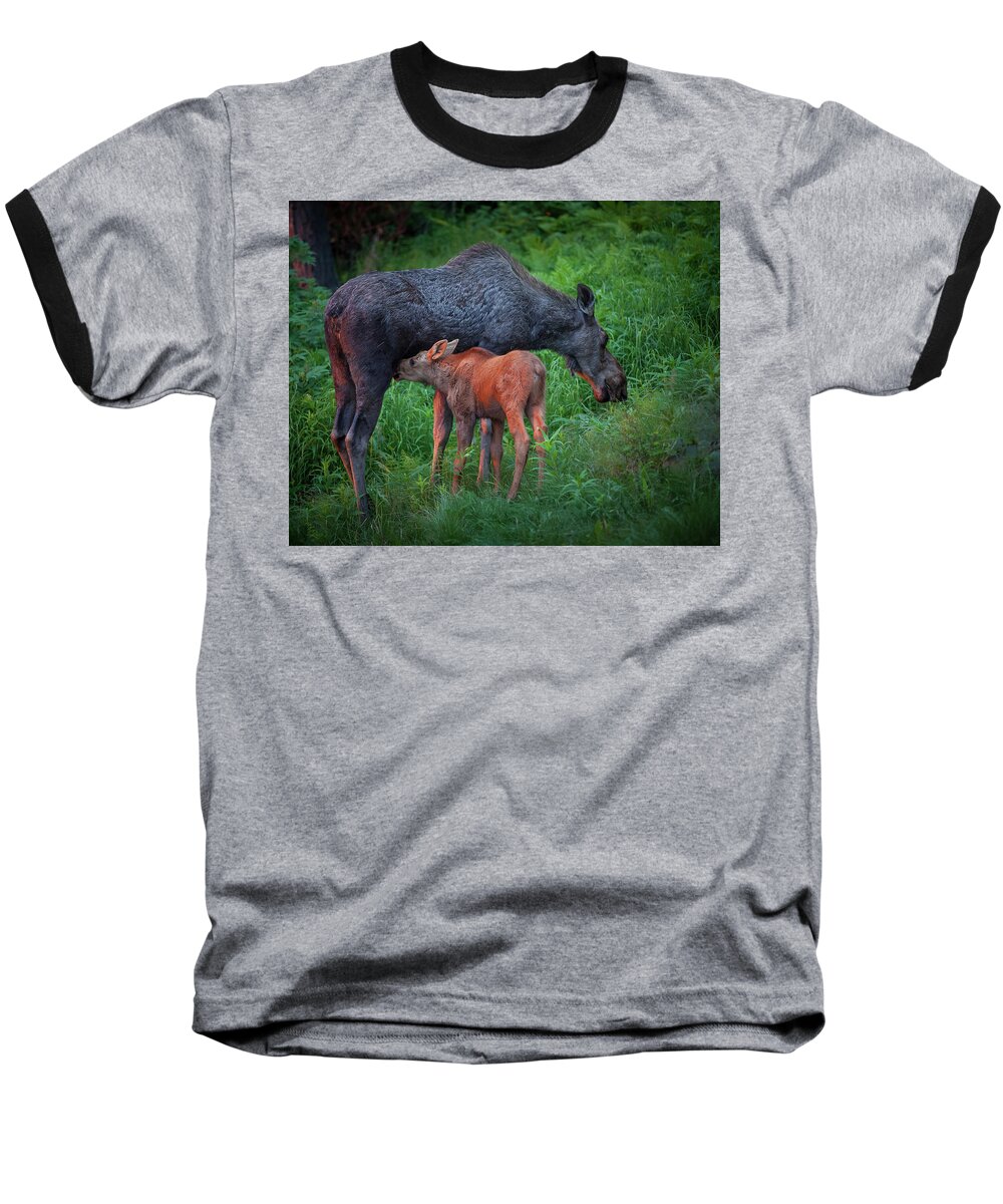 Moose Baseball T-Shirt featuring the photograph Table for Two #1 by Tim Newton