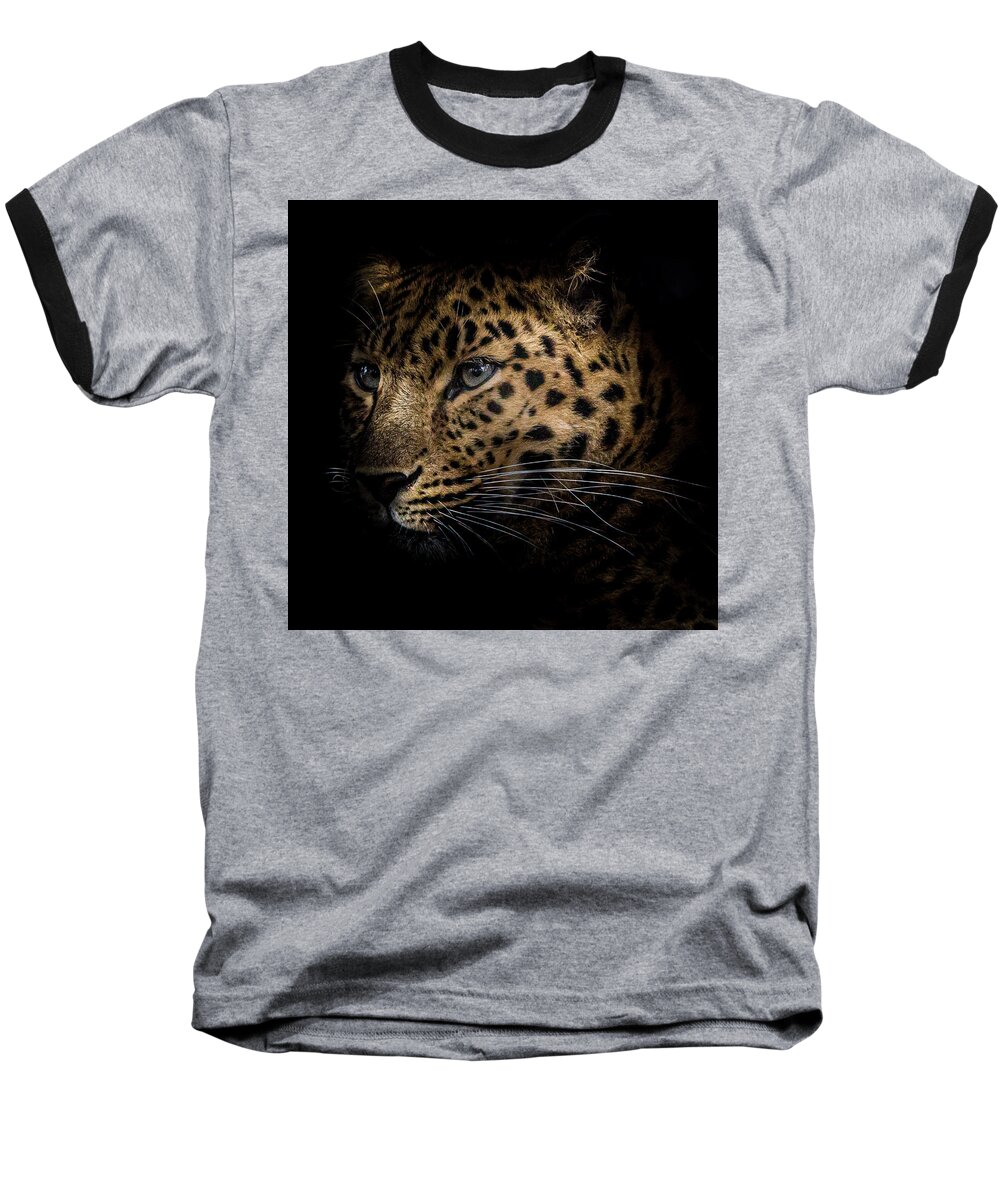 Amur Baseball T-Shirt featuring the photograph Amur Leopard #2 by Chris Boulton