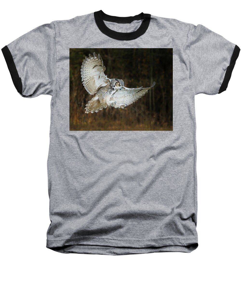 Owl Baseball T-Shirt featuring the photograph Great Horned Owl #3 by CR Courson