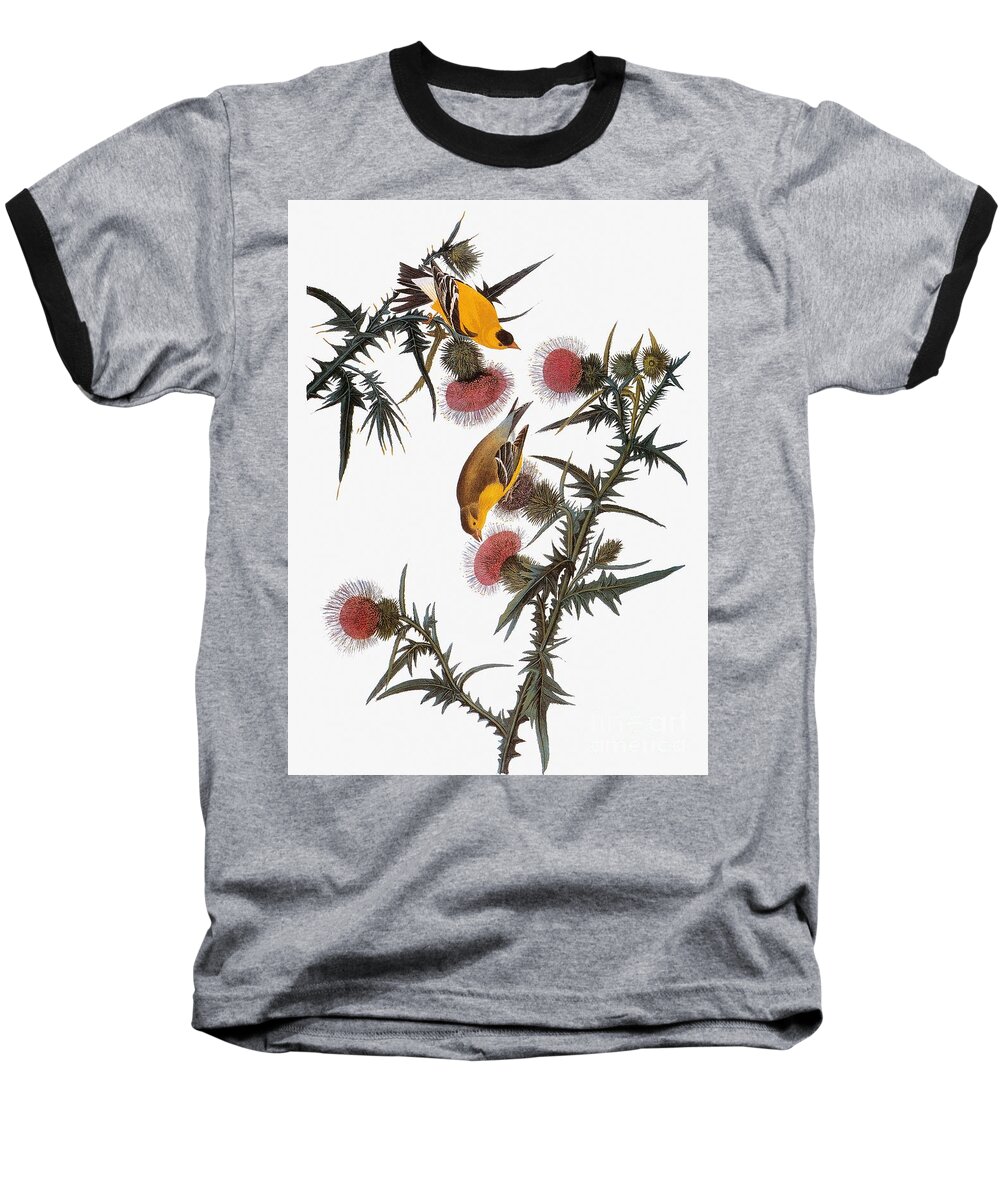 1838 Baseball T-Shirt featuring the drawing American Goldfinch #5 by John James Audubon