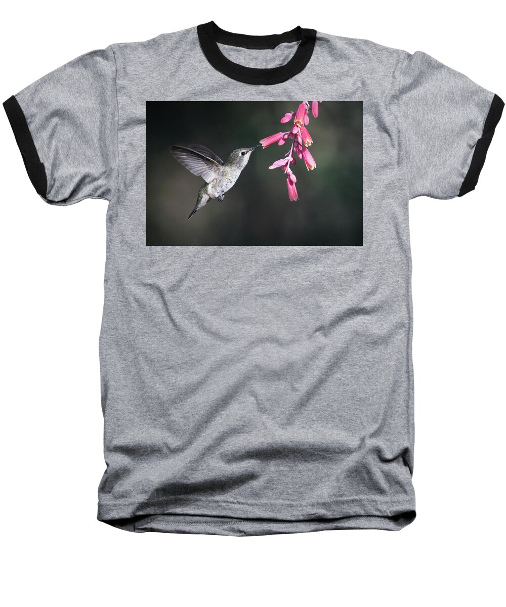 Hummingbirds Baseball T-Shirt featuring the photograph Hummingbird #12 by Catherine Lau