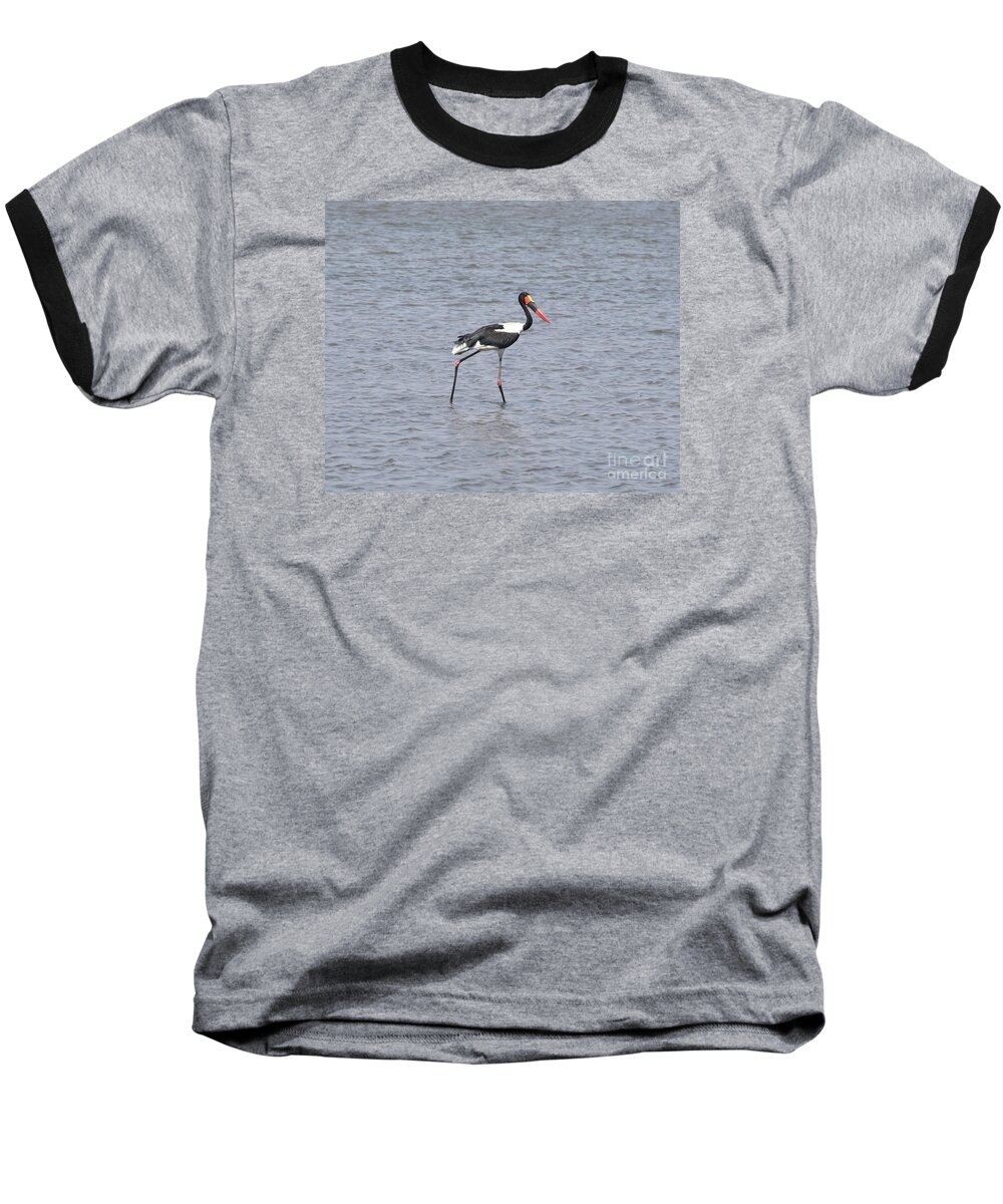 Legs Baseball T-Shirt featuring the photograph A Male Saddle Billed Storks Strides Through A Pond In The South Luangwa Area Of Zambia. by Tom Wurl