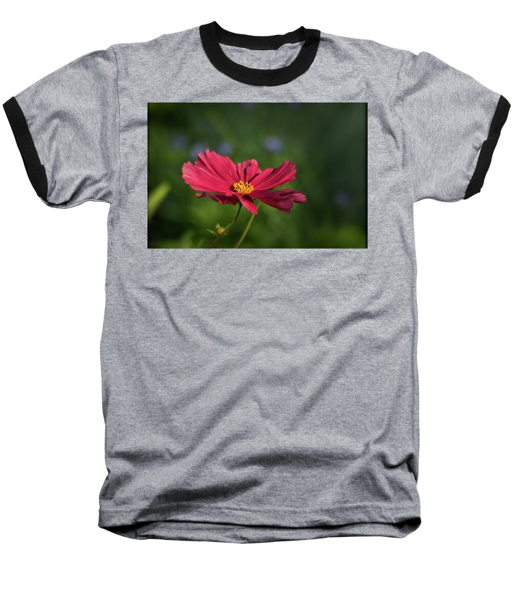 Plant Baseball T-Shirt featuring the photograph A moment in Red by Buddy Scott