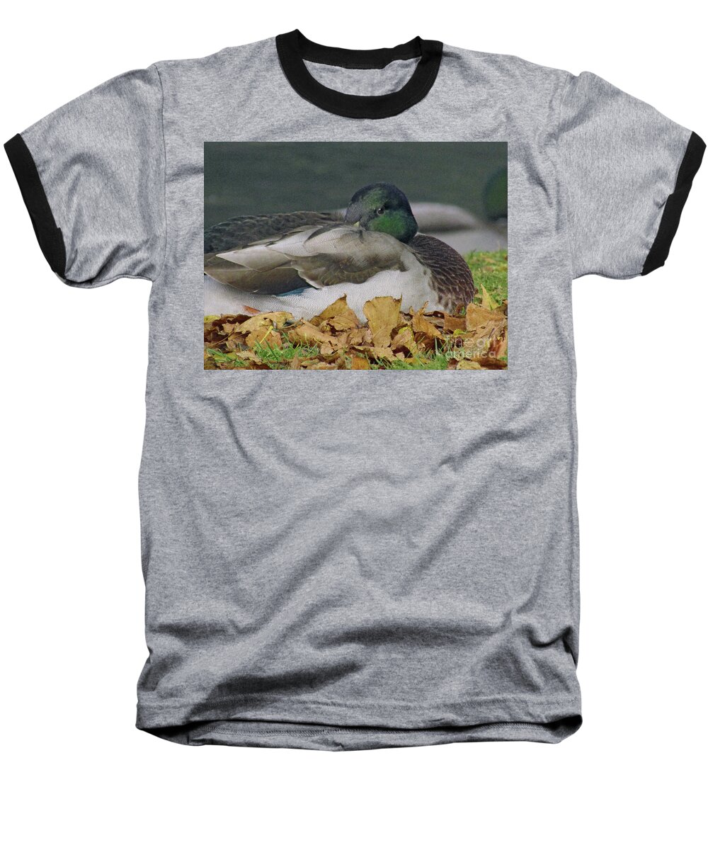 Mallard Duck Baseball T-Shirt featuring the photograph Alone by Kim Tran