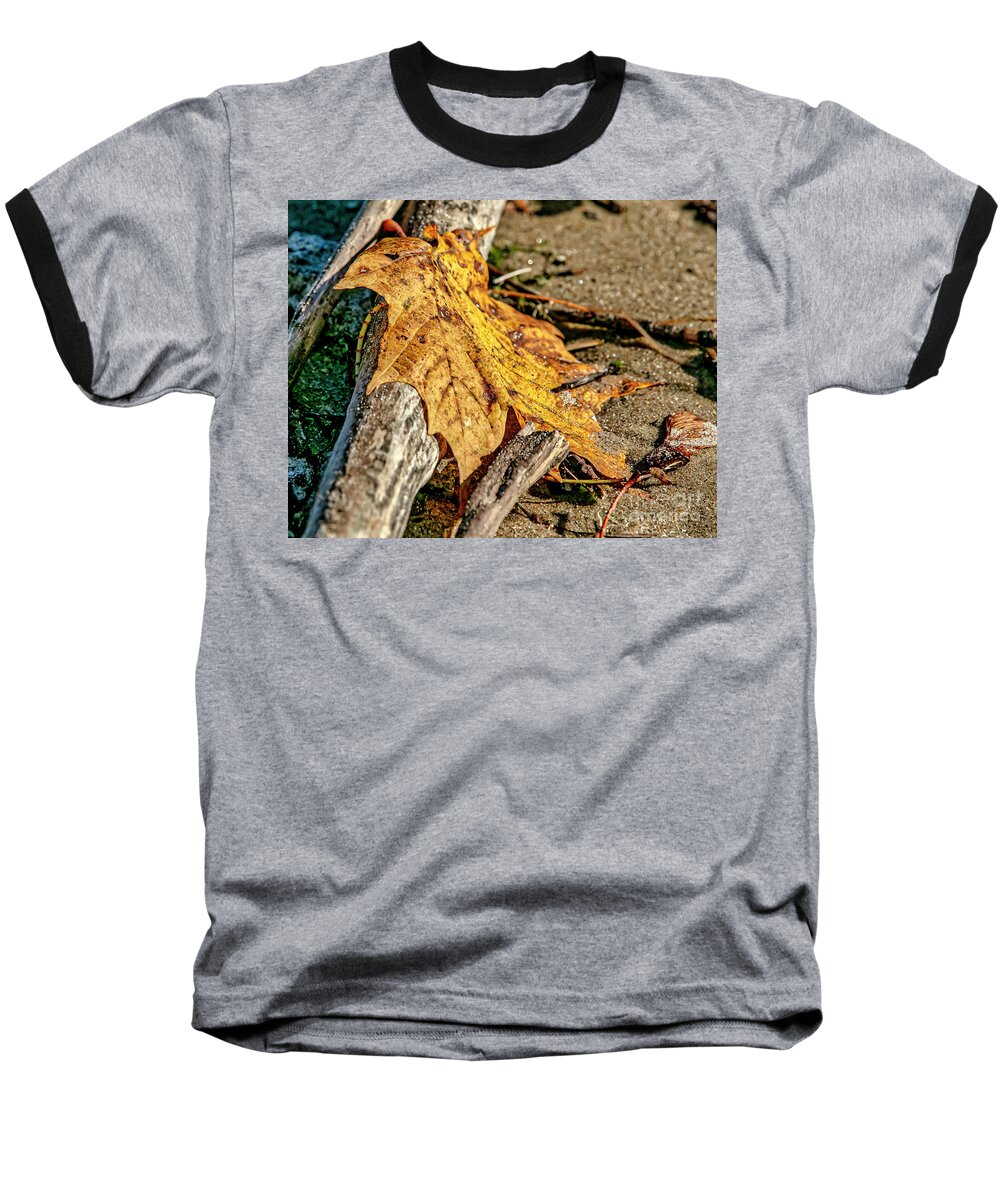 Beach Baseball T-Shirt featuring the photograph At The End of Fall by Jale Fancey