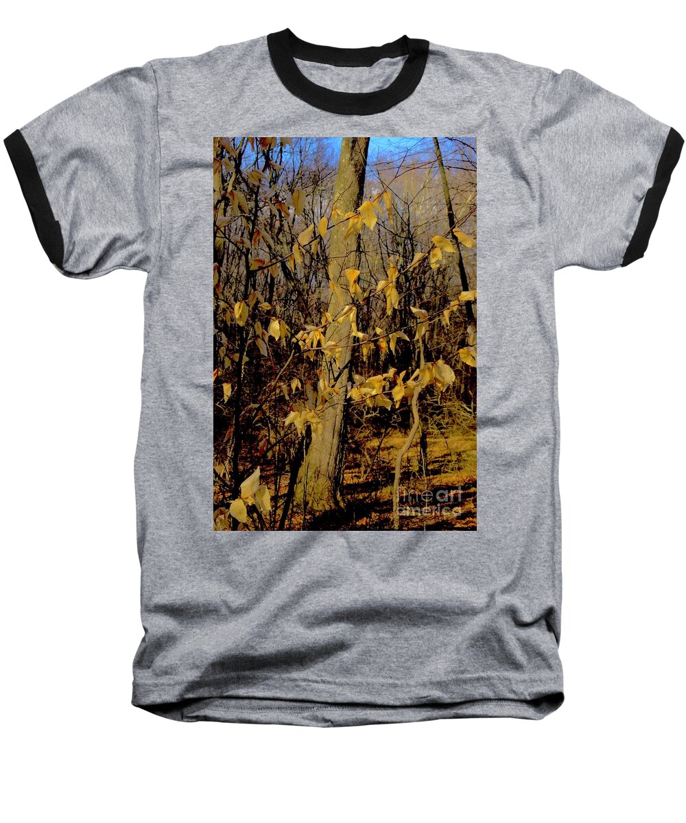 Autumn Baseball T-Shirt featuring the photograph Autumn Glow by Margie Avellino
