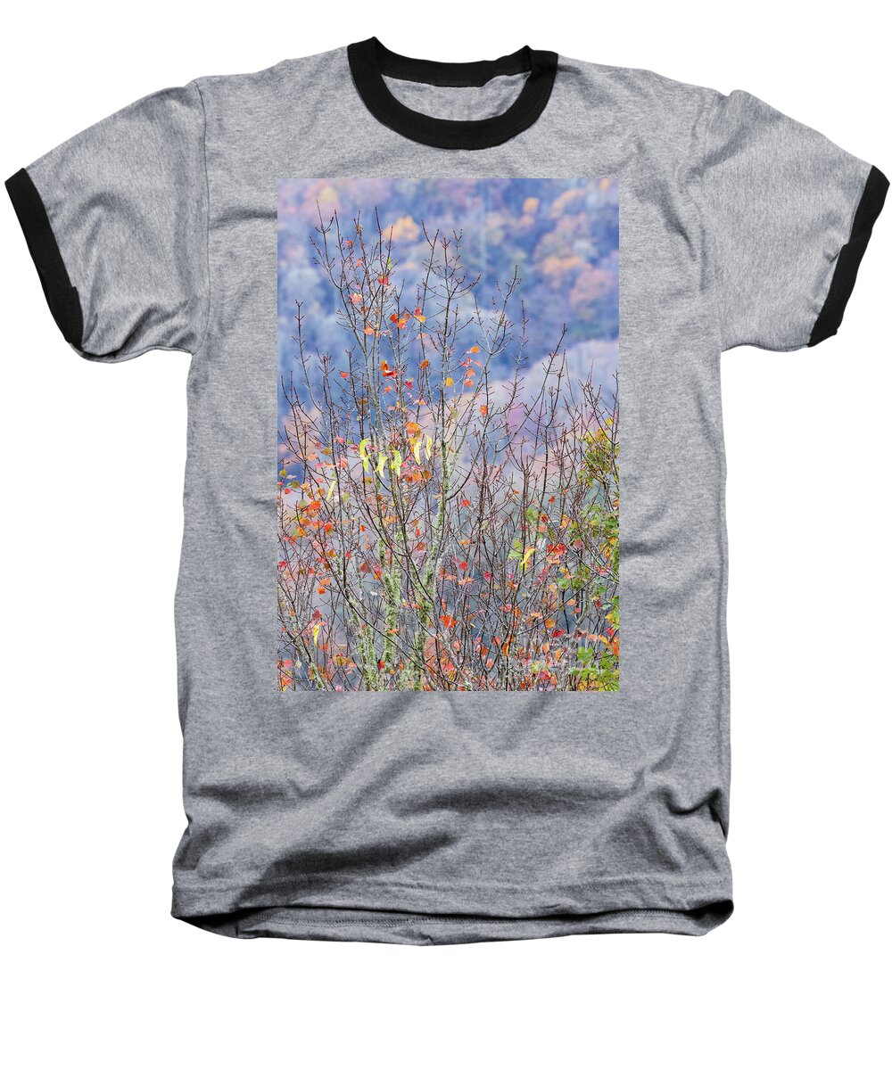 Autumn Baseball T-Shirt featuring the photograph Autumn Palette by Doug Sturgess