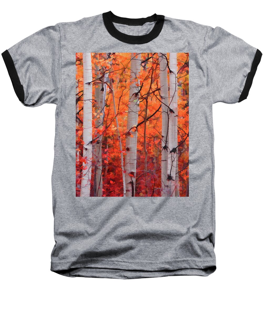 Aspens Baseball T-Shirt featuring the photograph Autumn Splendor by Don Schwartz