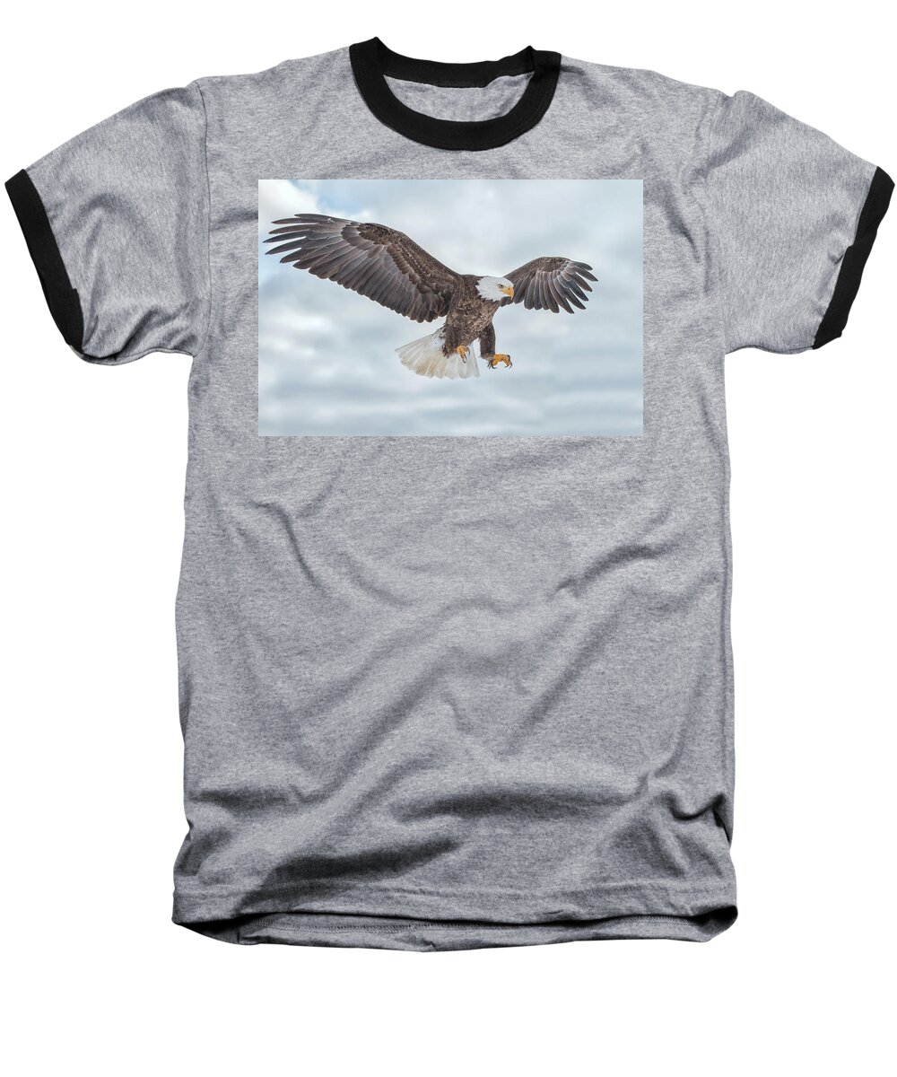 Eagle Baseball T-Shirt featuring the photograph Bald Eagle Blue Sky by CR Courson