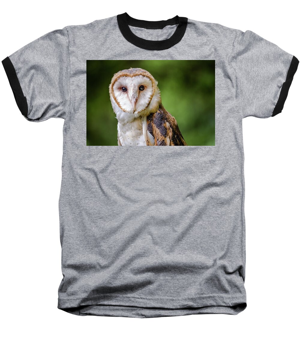 Raptors Owl Hawk Baseball T-Shirt featuring the photograph Barn owl eyes by Robert Miller