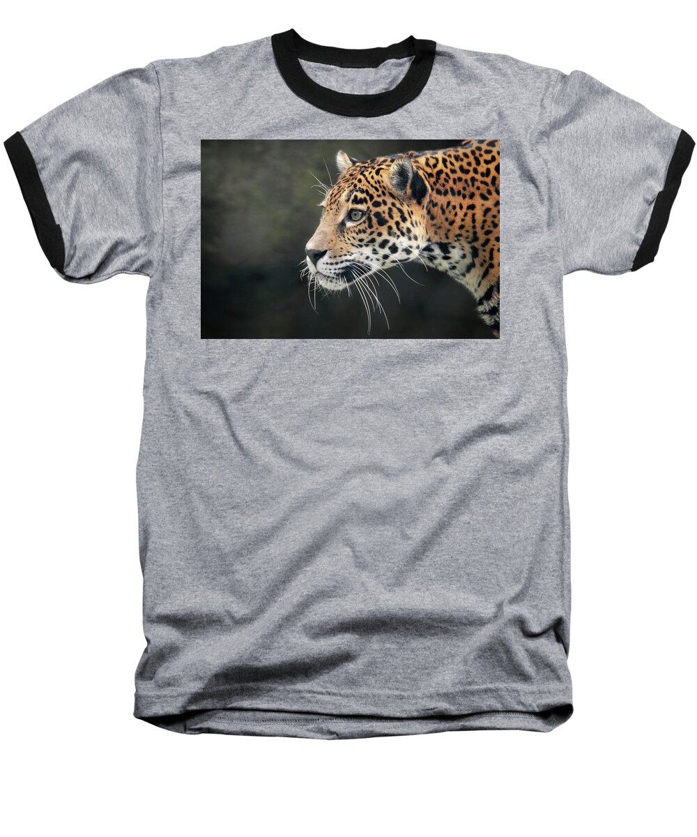 Cat Baseball T-Shirt featuring the photograph Bella On The Prowl by Elaine Malott
