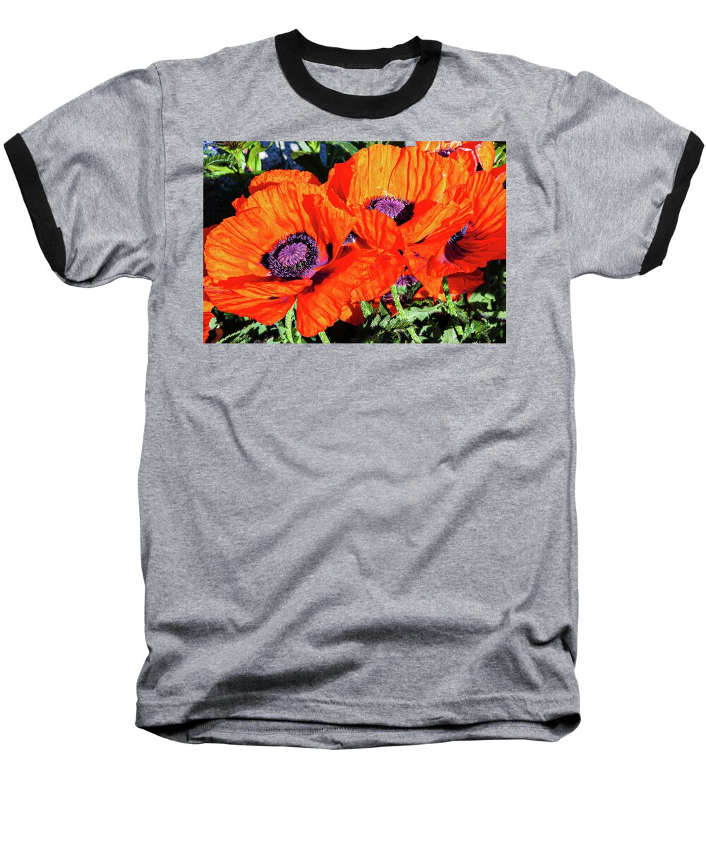 Flowers Baseball T-Shirt featuring the photograph Big Reds by Claude Dalley