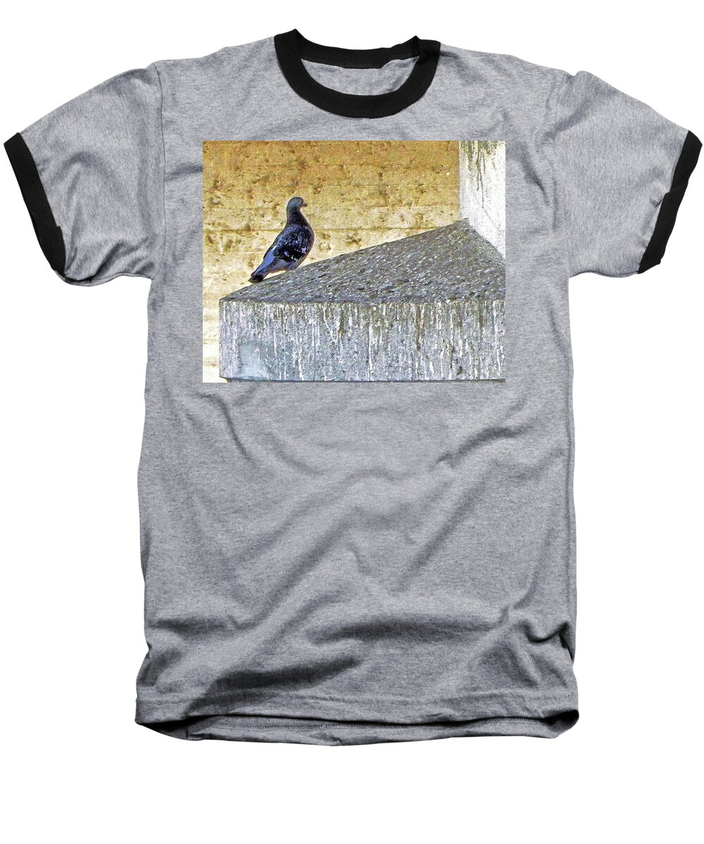 Bird Baseball T-Shirt featuring the photograph Bird Bridge Brown by Andrew Lawrence