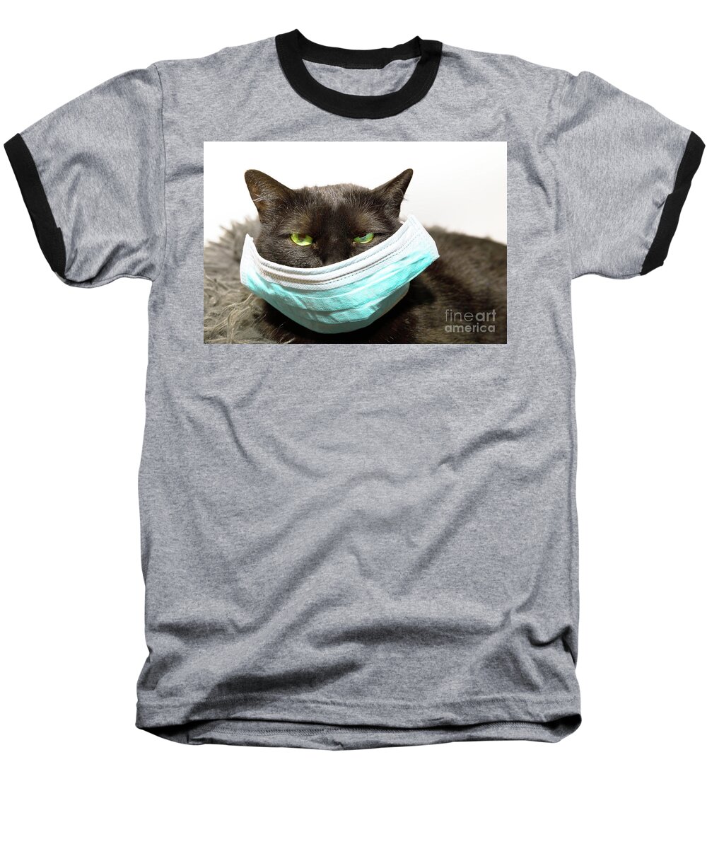 Cat Baseball T-Shirt featuring the photograph Black Cat With Face Mask by Benny Marty