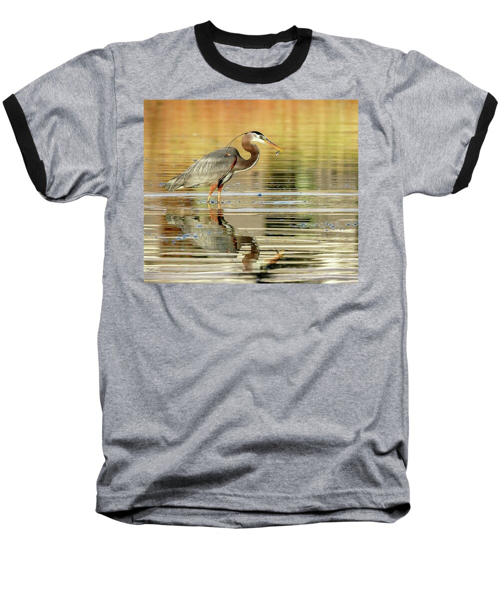 Great Blue Herons Baseball T-Shirt featuring the photograph Blue Heron Fishing by Judi Dressler
