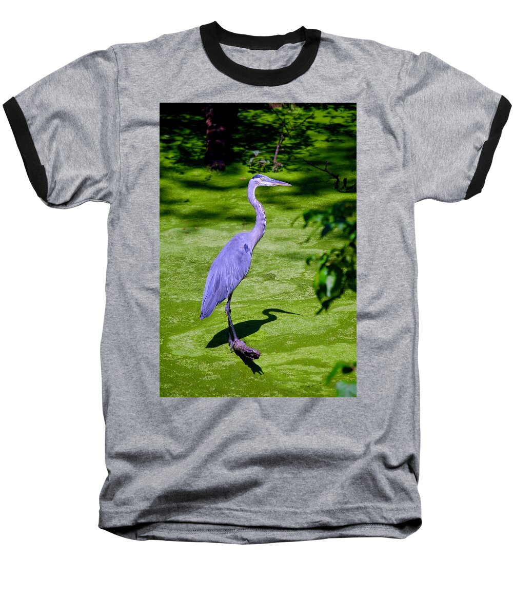 Blue Heron Revision 2 Baseball T-Shirt featuring the digital art Blue Heron Revision 2 by Don Wright