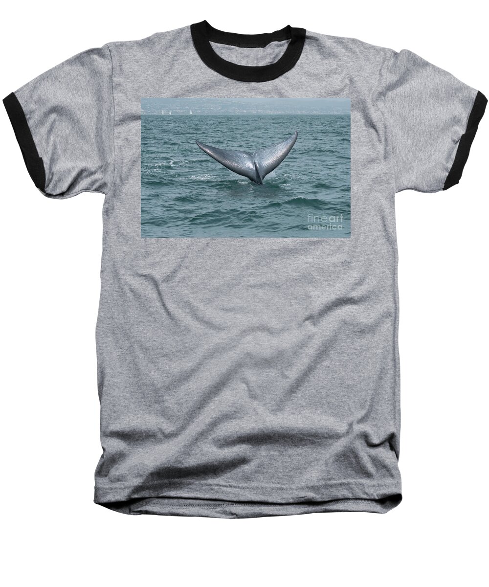  Baseball T-Shirt featuring the photograph Blue Whale Fluke Dana Point by Loriannah Hespe