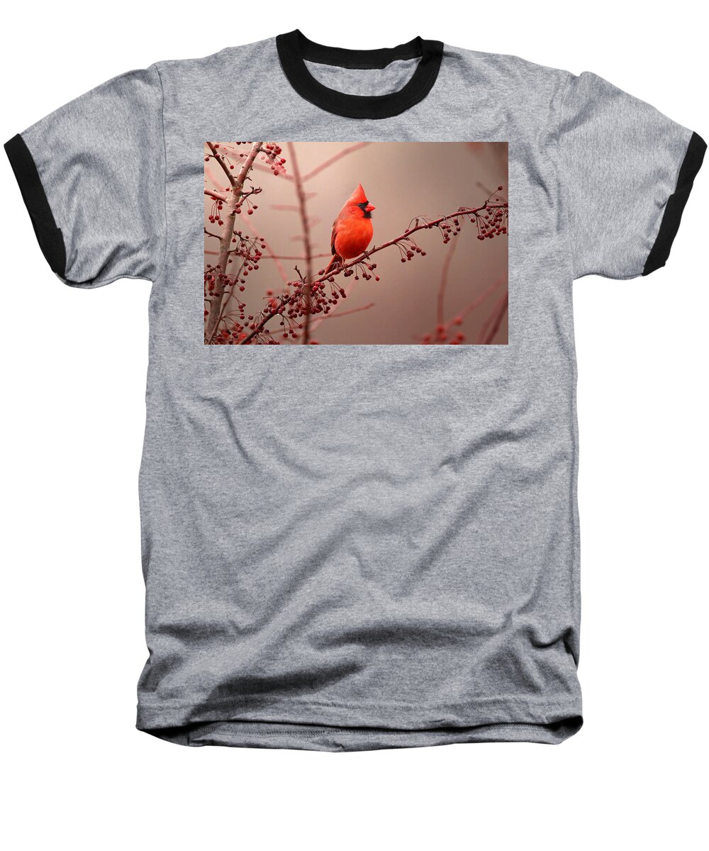 Cardinal Baseball T-Shirt featuring the photograph Bold Beauty by Rob Blair