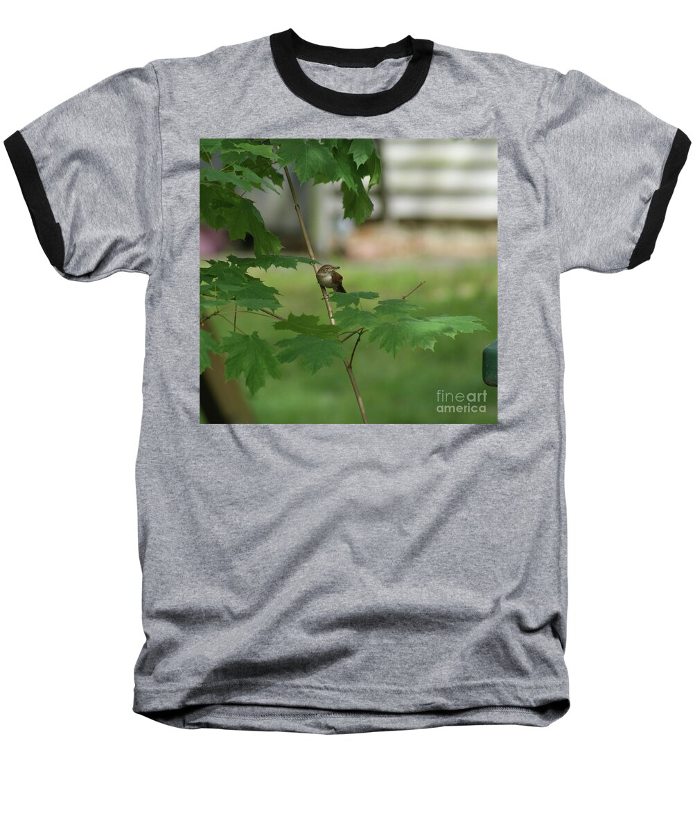 Birds Baseball T-Shirt featuring the photograph Brown House Wren by Margie Avellino