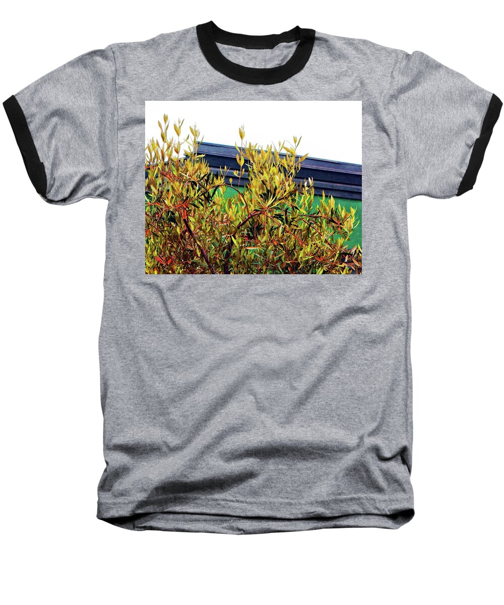 Bush Baseball T-Shirt featuring the photograph Bush Building by Andrew Lawrence