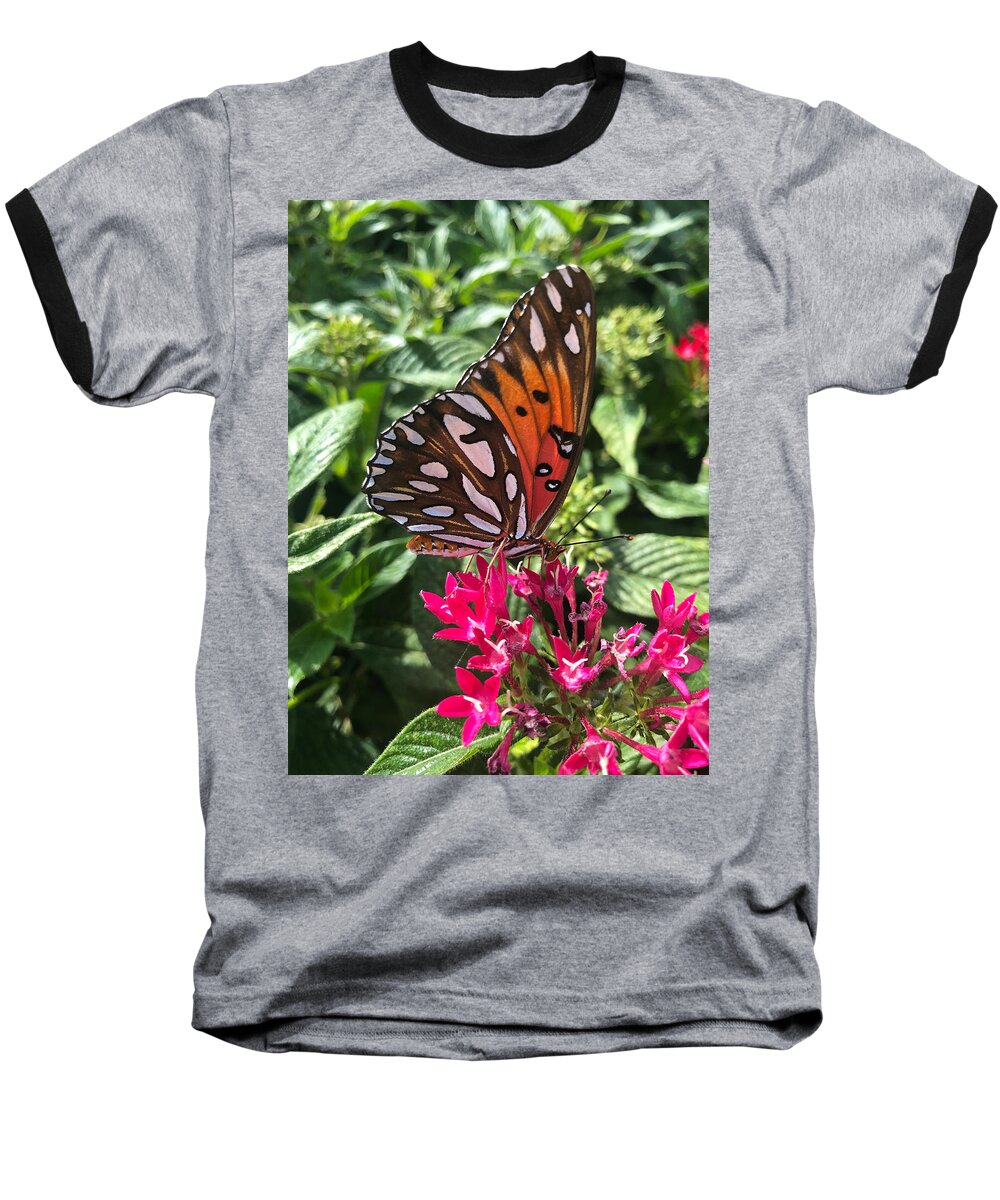 Butterfly Baseball T-Shirt featuring the photograph Butterfly no.1 by Nathan Little