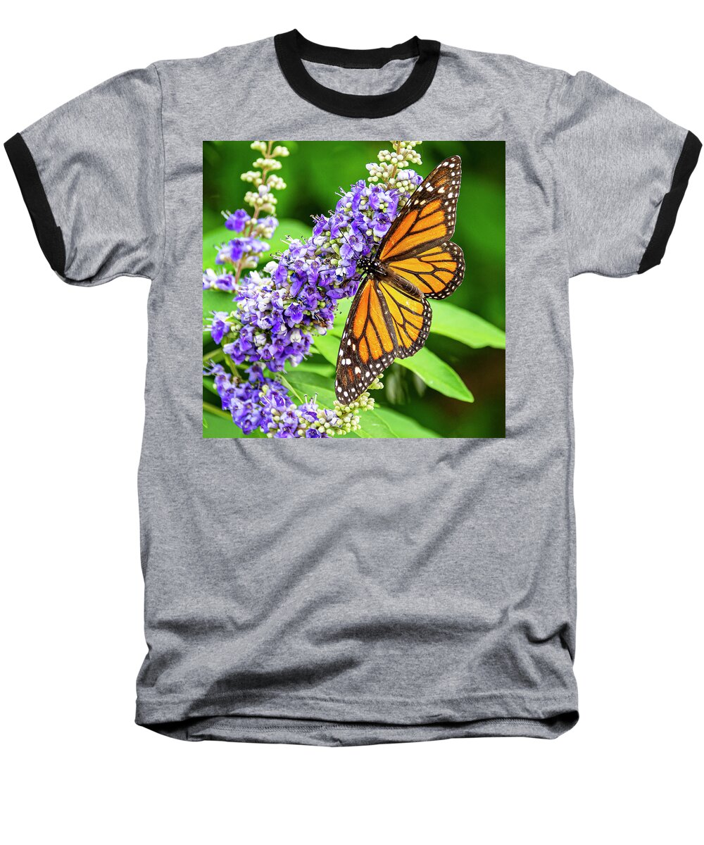 Butterfly Baseball T-Shirt featuring the photograph Butterfly Snack Time by Jerry Connally