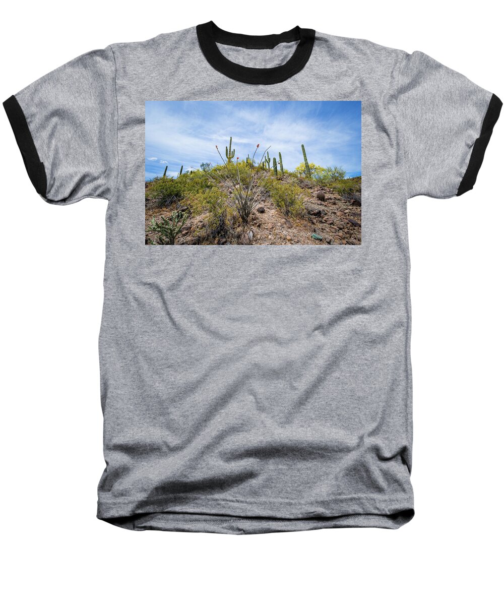 Cactus Baseball T-Shirt featuring the photograph Cactus Party by Jill Laudenslager