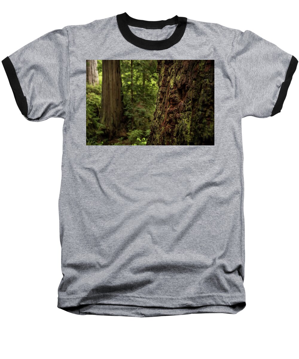 Forest Baseball T-Shirt featuring the photograph California Redwoods by Margaret Pitcher