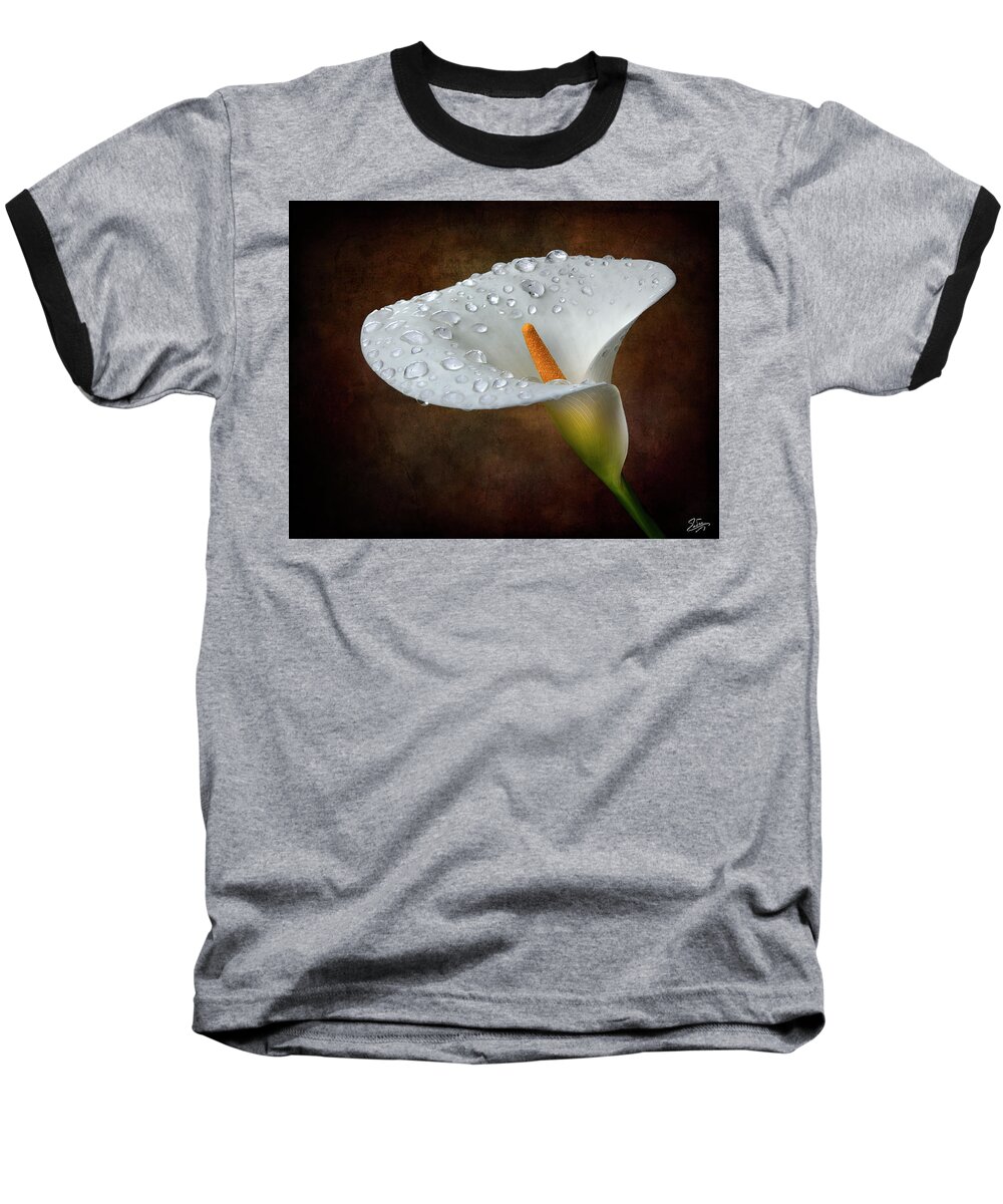 Rainwater Baseball T-Shirt featuring the photograph Calla Lily With Rainwater by Endre Balogh