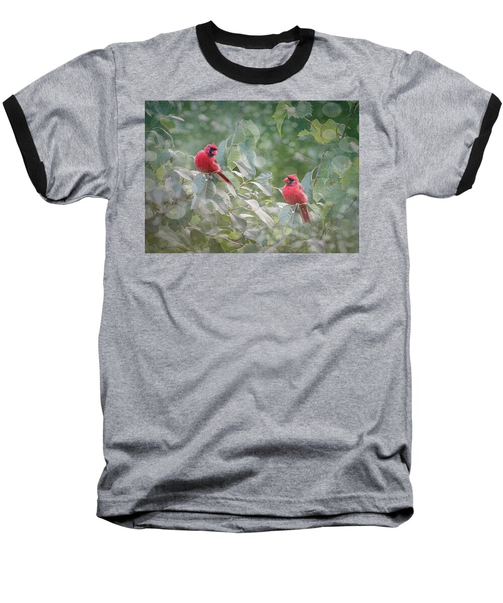 Cardinals Baseball T-Shirt featuring the photograph Cardinal Connnection by Patti Deters