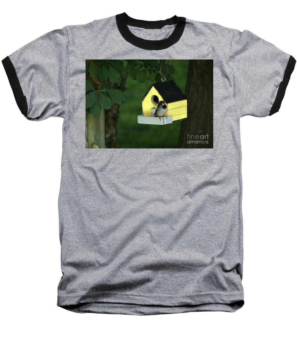 Birds Baseball T-Shirt featuring the photograph Cheery House Sparrow by Margie Avellino