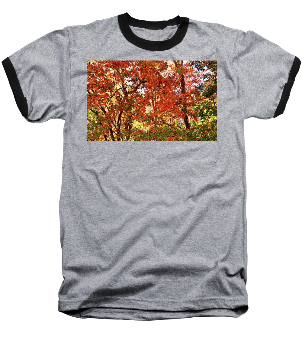 Autumns Baseball T-Shirt featuring the photograph Colorful Autumn Leaves 3 High Resolution XL by Katy Hawk