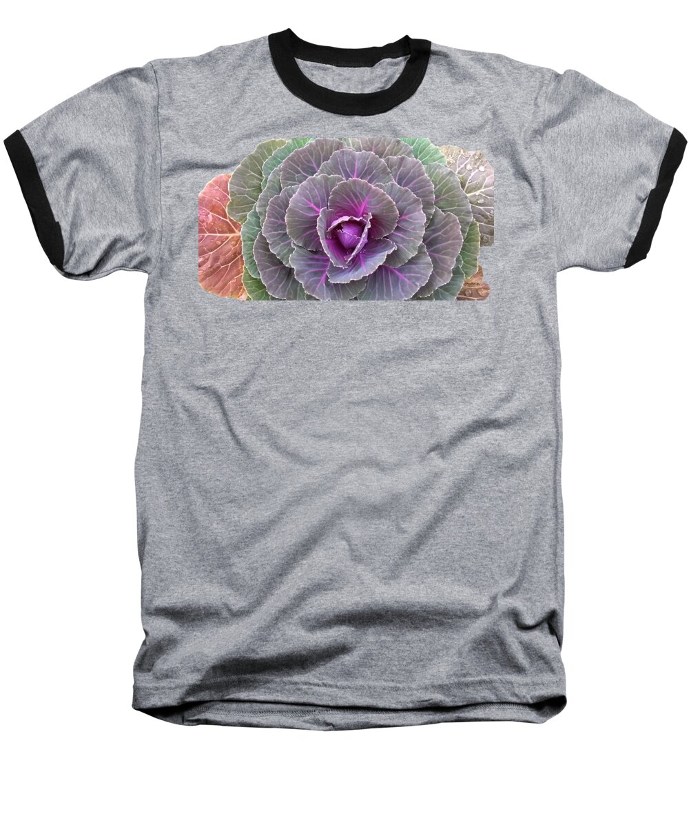 Duane Mccullough Baseball T-Shirt featuring the photograph Colorful Cabbage Clear by Duane McCullough