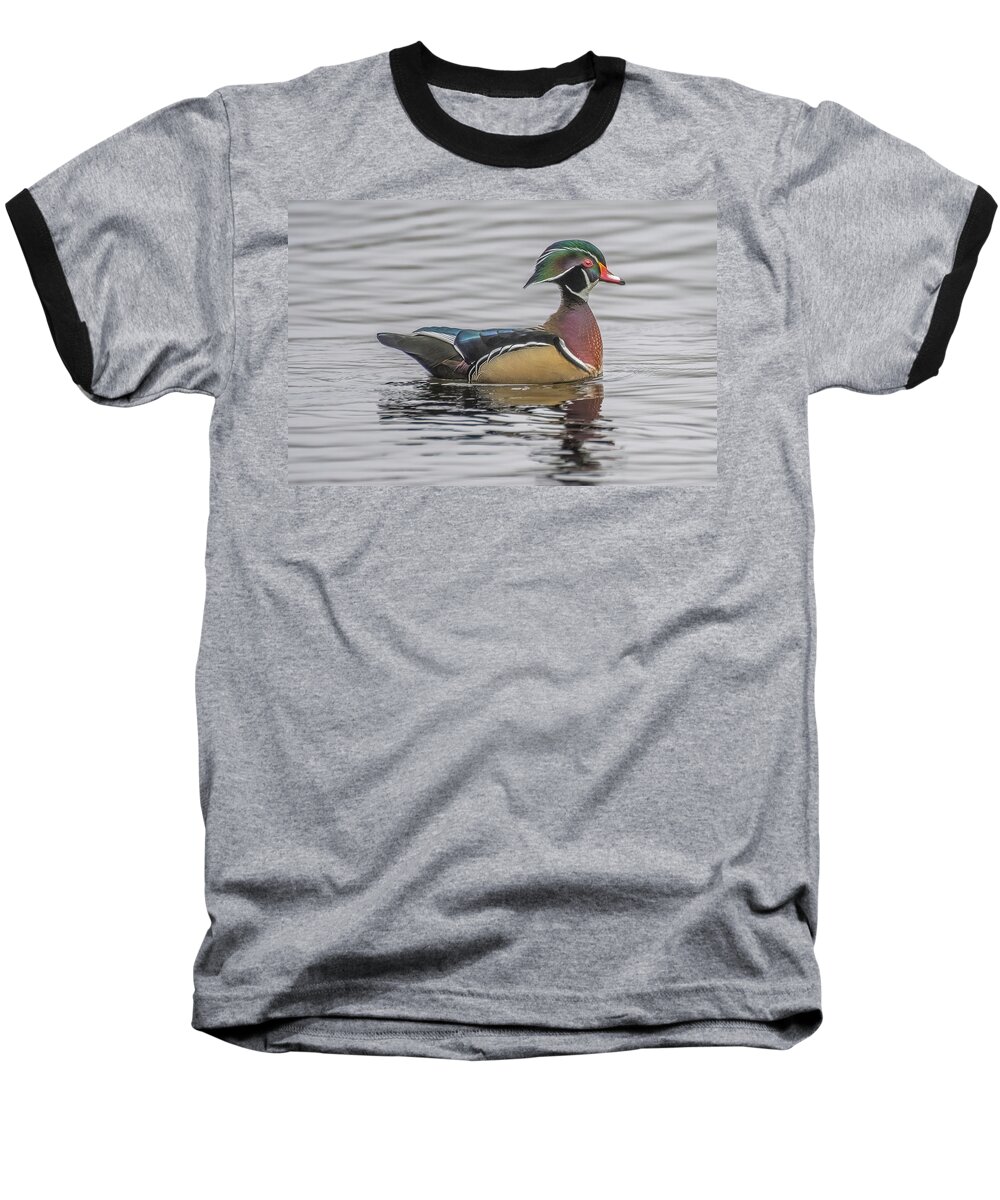 Woodduck Baseball T-Shirt featuring the photograph Colorful Woodduck by Jerry Cahill