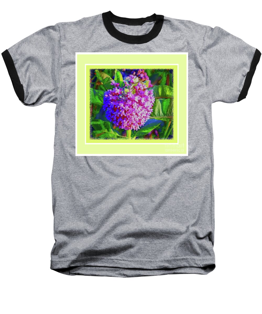Milkweed Baseball T-Shirt featuring the photograph Common Milkweed by Shirley Moravec