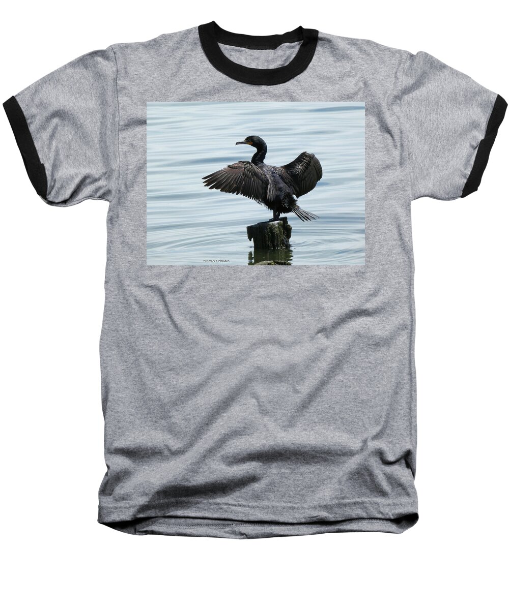 Double Crested Cormorant Baseball T-Shirt featuring the photograph Cormorant 2022 by Kimmary I MacLean