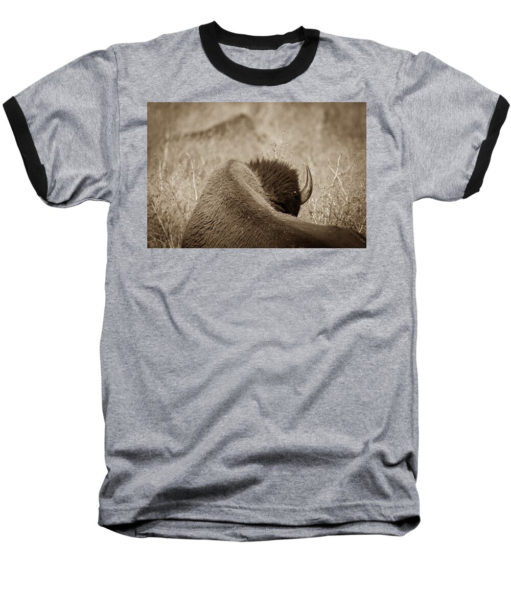 Buffalo Baseball T-Shirt featuring the photograph Curves by Mary Hone