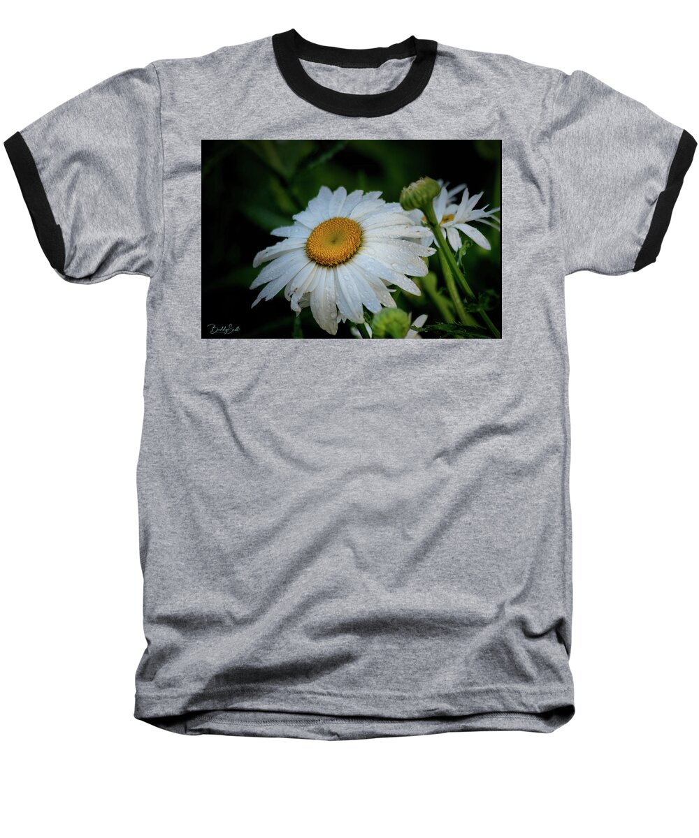 Plants Baseball T-Shirt featuring the photograph Daisy rain by Buddy Scott