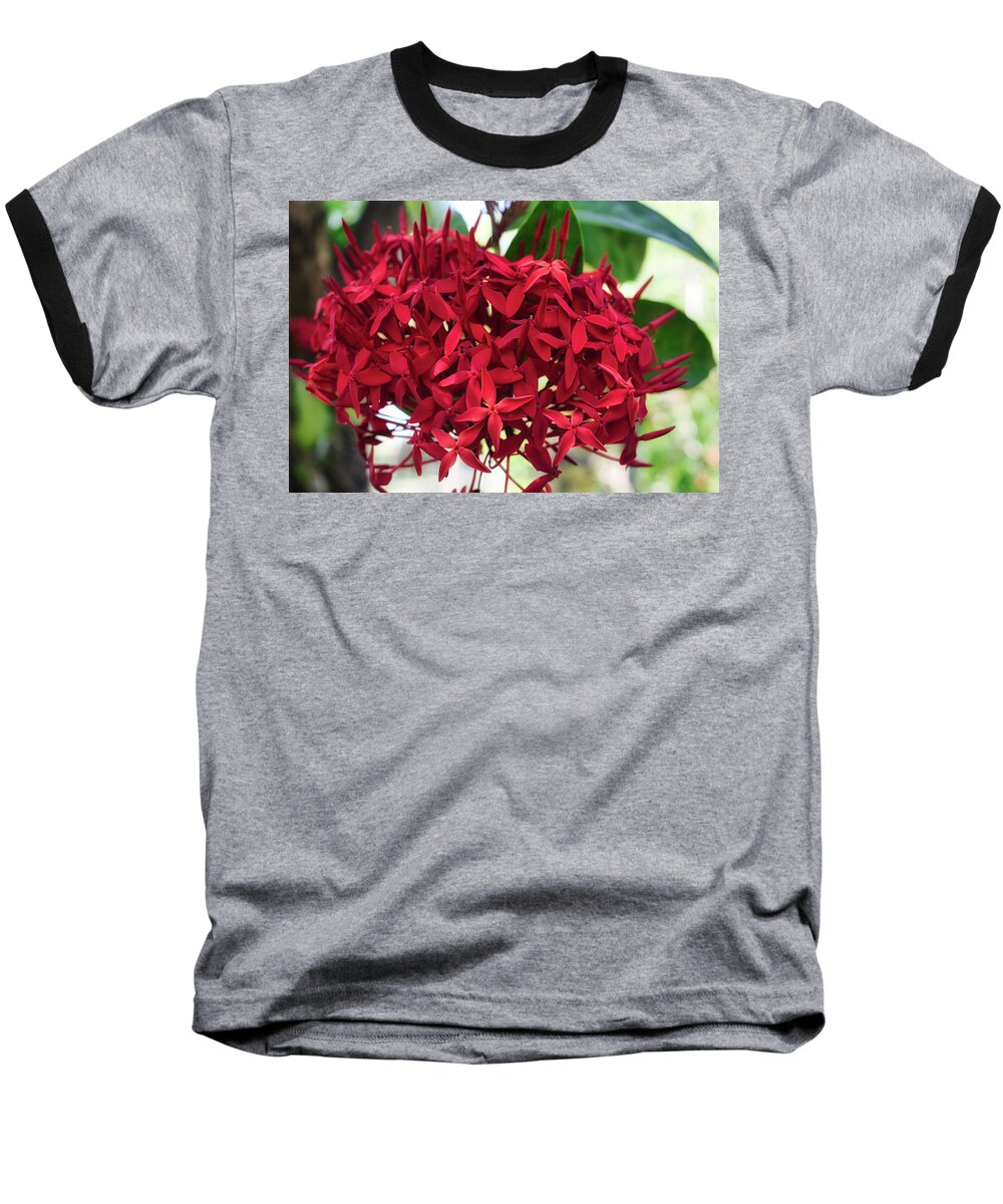 Flower Baseball T-Shirt featuring the photograph Deep Ixora by Portia Olaughlin