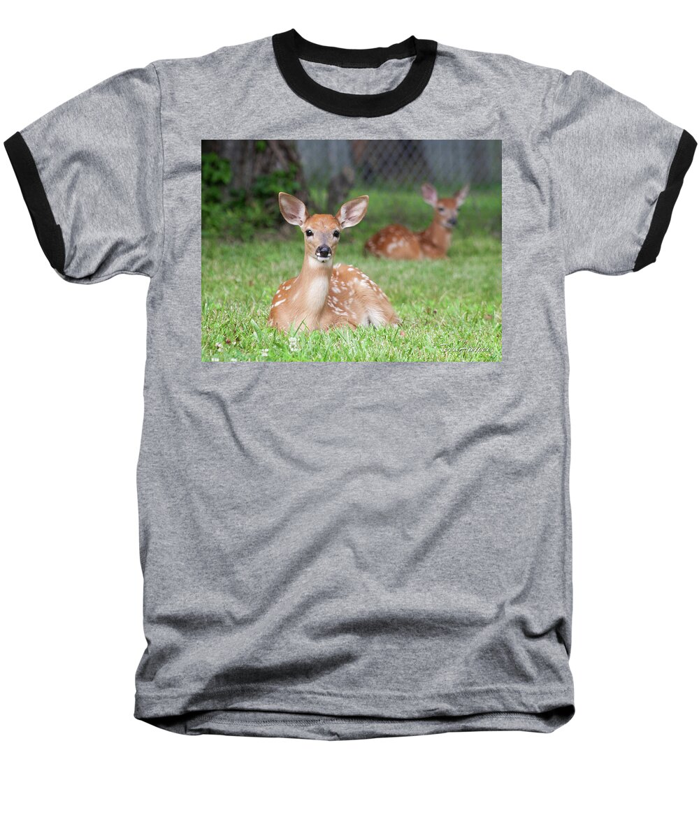 Fawns Baseball T-Shirt featuring the photograph Deer Babies by Terri Harper