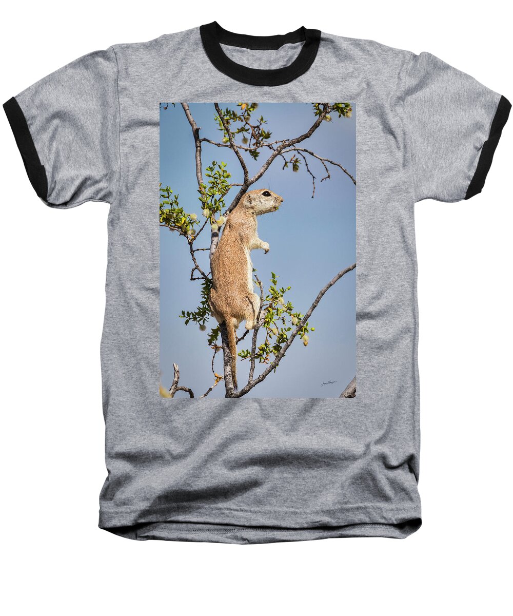 Round-tailed Ground Squirrel Baseball T-Shirt featuring the photograph Desert Lookout by Jurgen Lorenzen