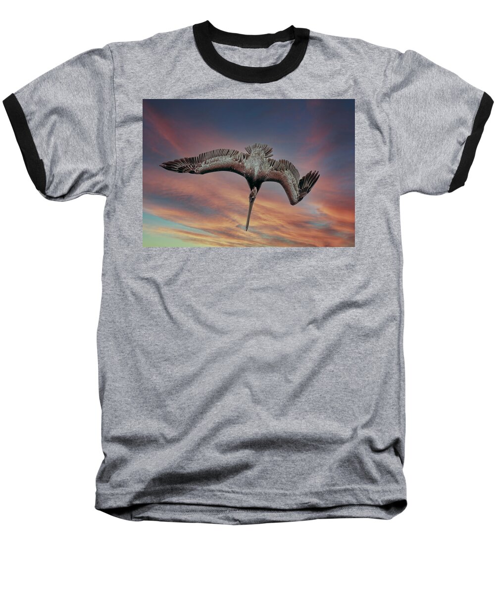 Pelican Baseball T-Shirt featuring the photograph Diving Pelican by Jerry Cahill