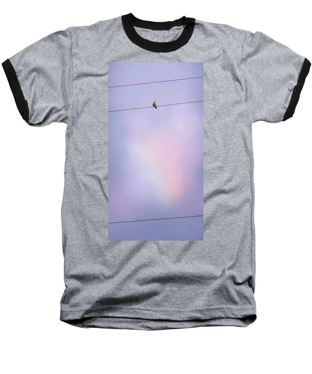 Perching Baseball T-Shirt featuring the photograph Dove with Rainbow by Judy Kennedy